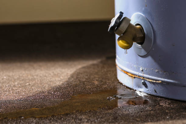 Best Local water damage restoration  in Crested Butte, CO