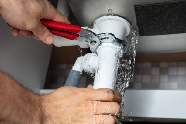 Best Professional water damage repair  in Crested Butte, CO