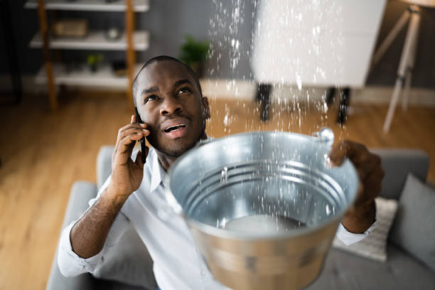 Best Water damage restoration near me  in Crested Butte, CO