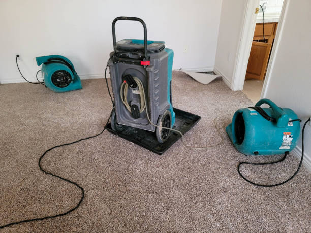 Best Carpet water damage restoration  in Crested Butte, CO