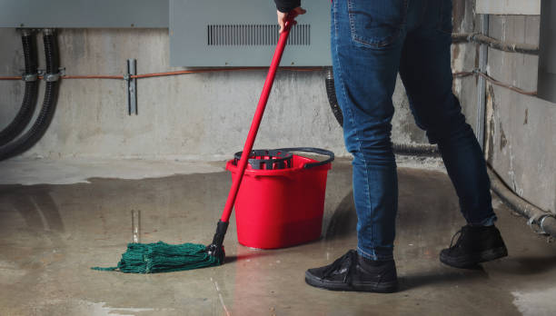 Best Water damage repair service  in Crested Butte, CO