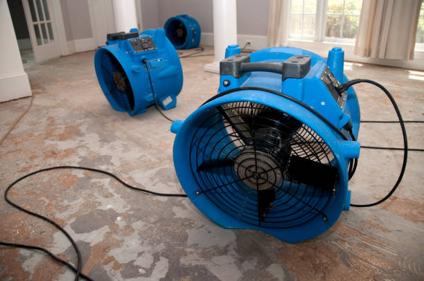 Best Water damage restoration specialists  in Crested Butte, CO