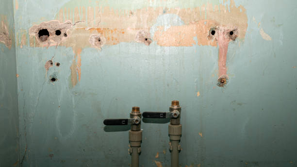 Crested Butte, CO Water damage restoration Company