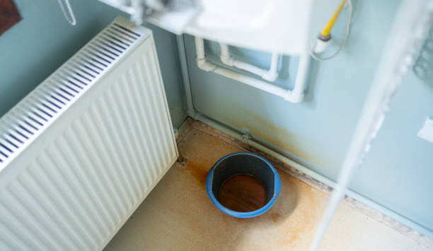 Best Residential water damage restoration  in Crested Butte, CO