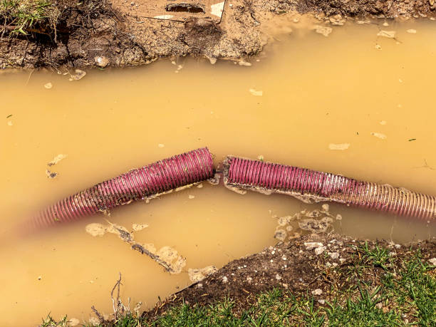 Best Carpet water damage restoration  in Crested Butte, CO