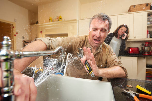 Best Sewage cleanup and water damage restoration  in Crested Butte, CO